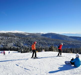 [Translate to englisch:] Sonniger Skitag mit Skifahrern und Snowboardern auf einer schneebedeckten Piste vor bewaldeten Bergen.