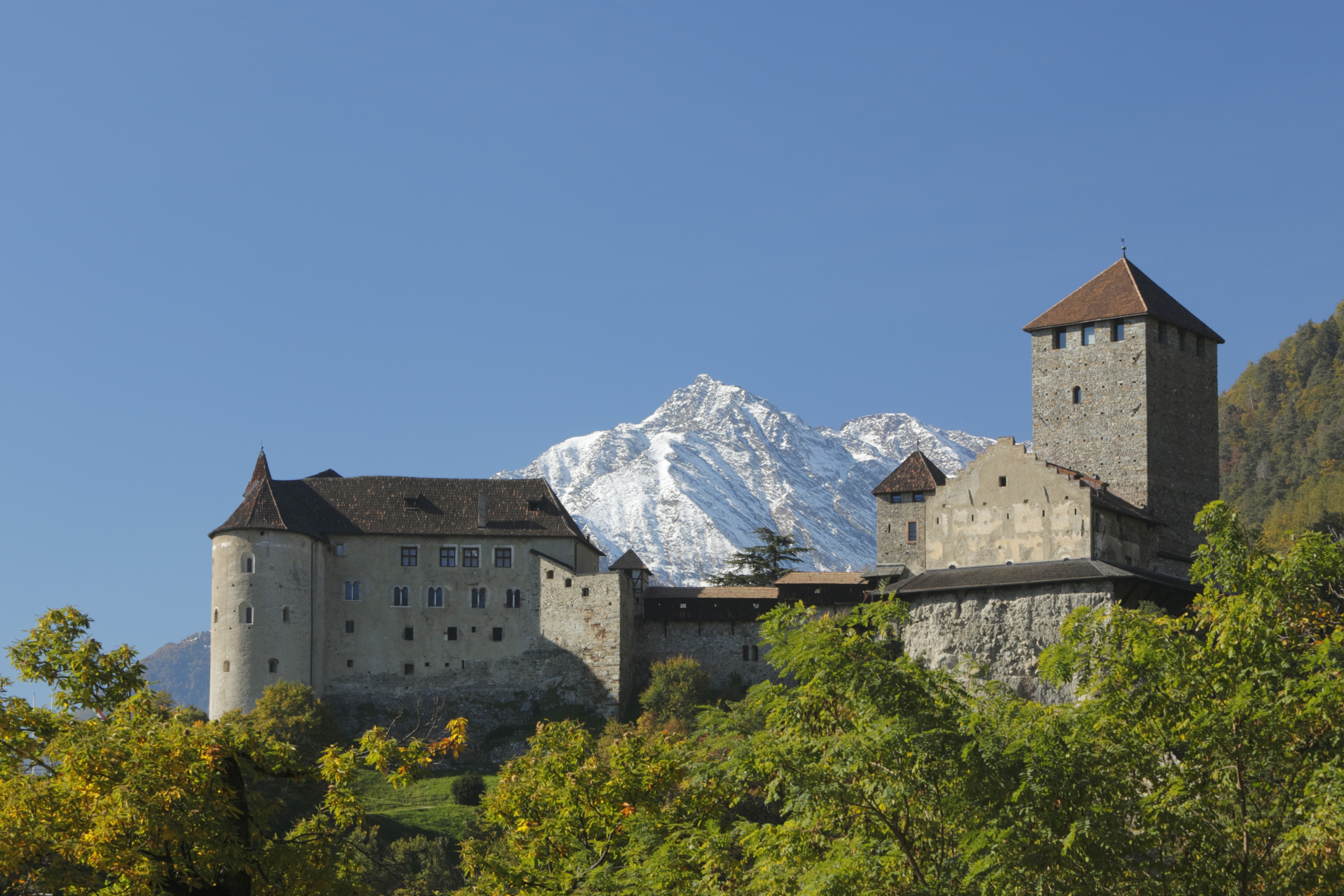 Historische Burg vor schneebedeckten Bergen und klarem blauem Himmel, umgeben von grünen Bäumen